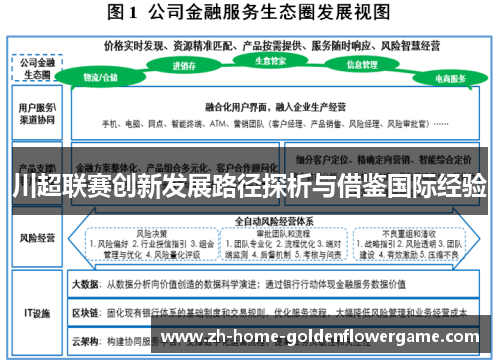 川超联赛创新发展路径探析与借鉴国际经验 川超联赛创新发展路径探析与借鉴国际经验